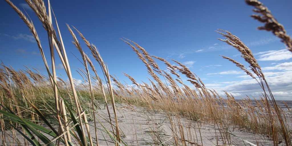 Baltic Highlights